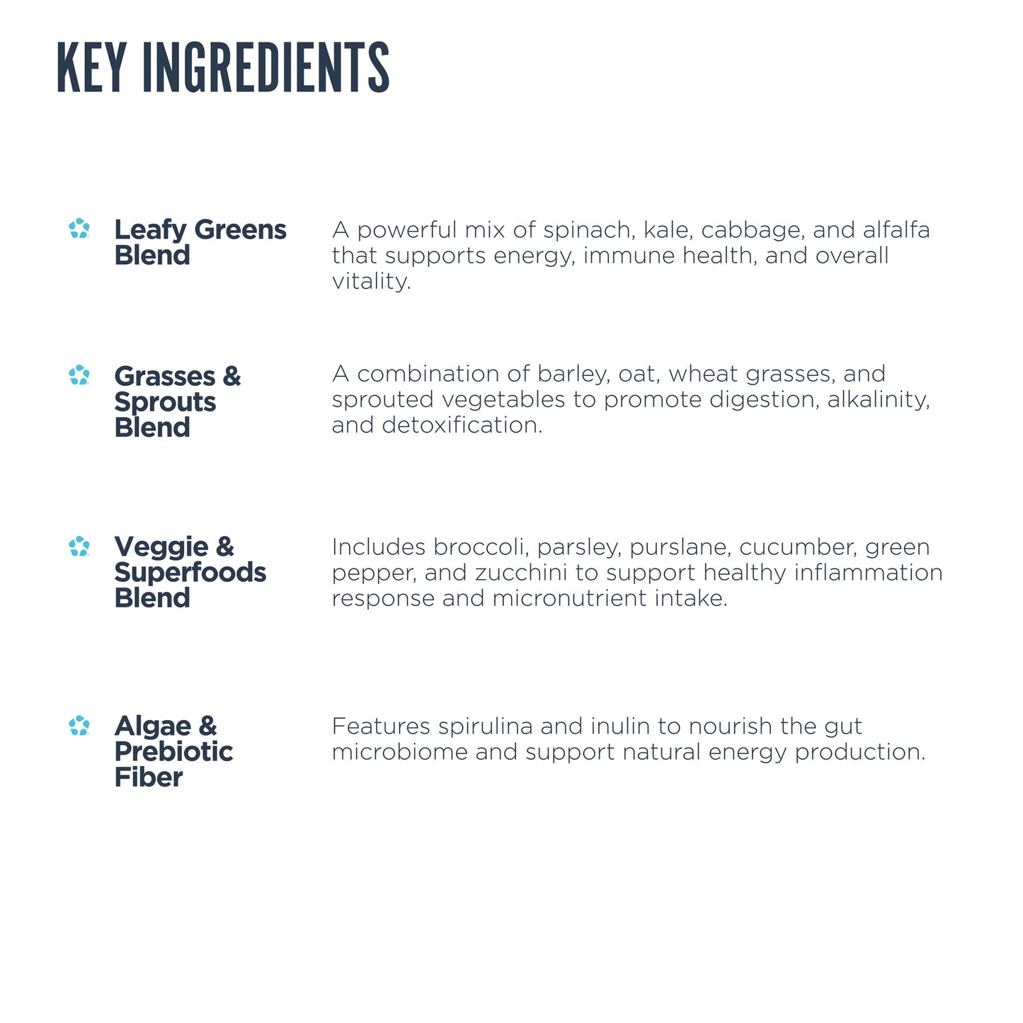 Revive Daily Greens Powder