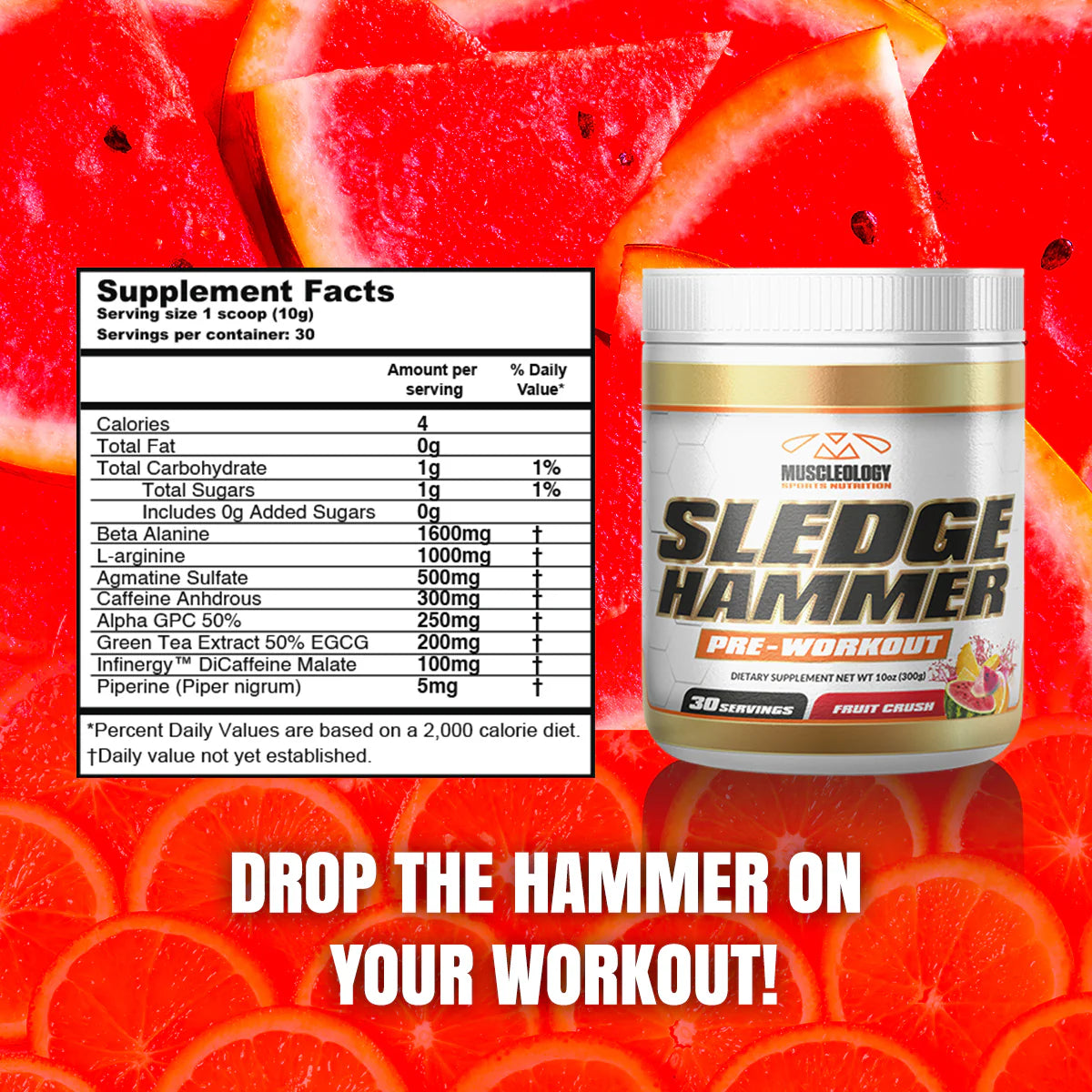 Muscleology SledgeHammer